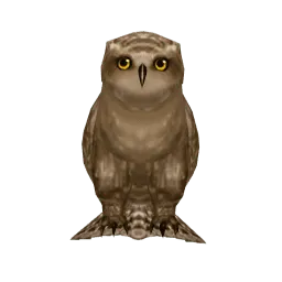 Коричневая сова