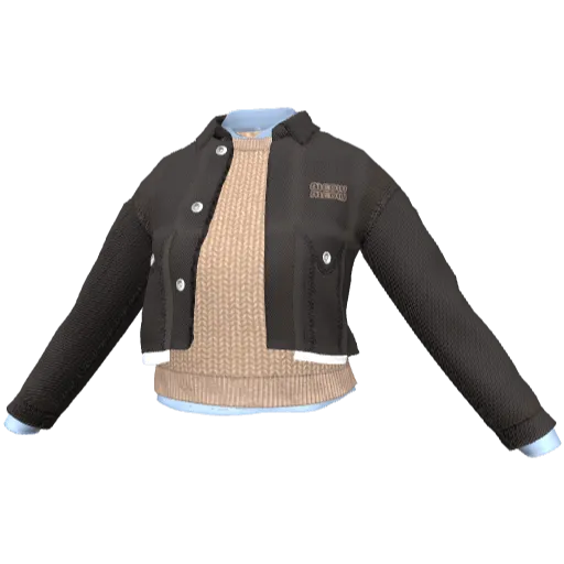 Clothing set #2465