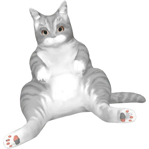 Кот на плечо серый