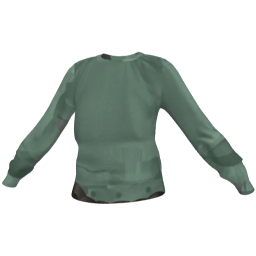 Clothing set #2493