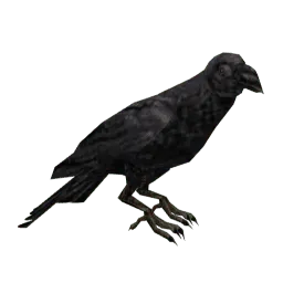 Чёрный ворон