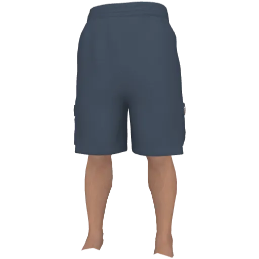 Серые шорты PABE