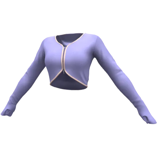 Clothing set #2519
