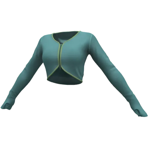 Clothing set #2519
