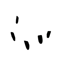Чёрные накладные ногти