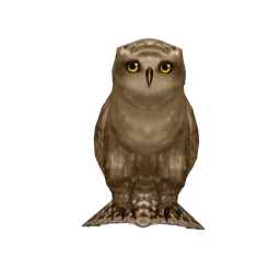 Коричневая сова