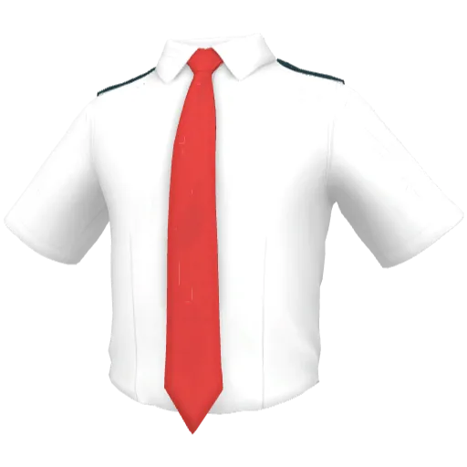 Clothing set #2453