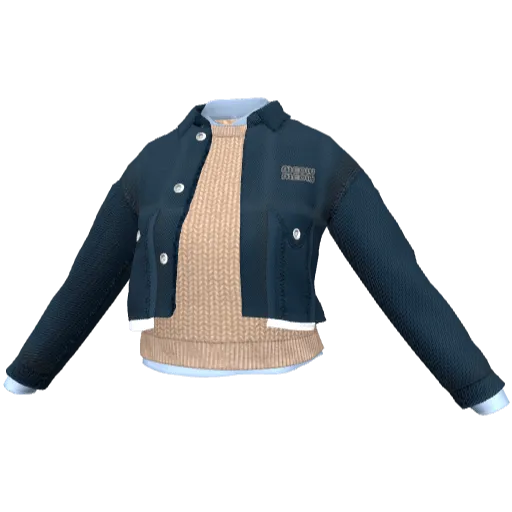 Clothing set #2465