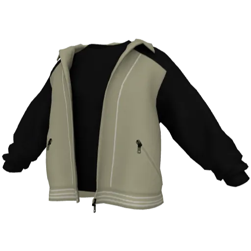 Clothing set #2456