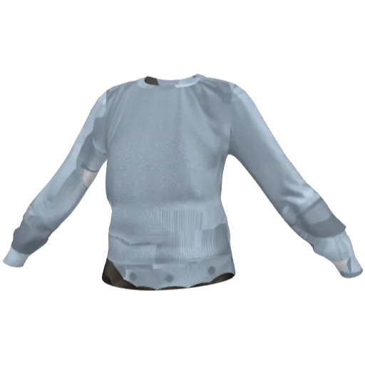 Clothing set #2493