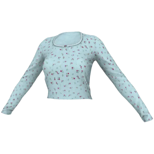 Clothing set #2510