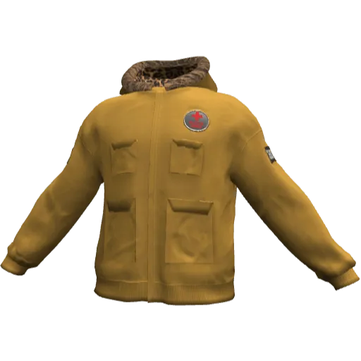 Clothing set #2482
