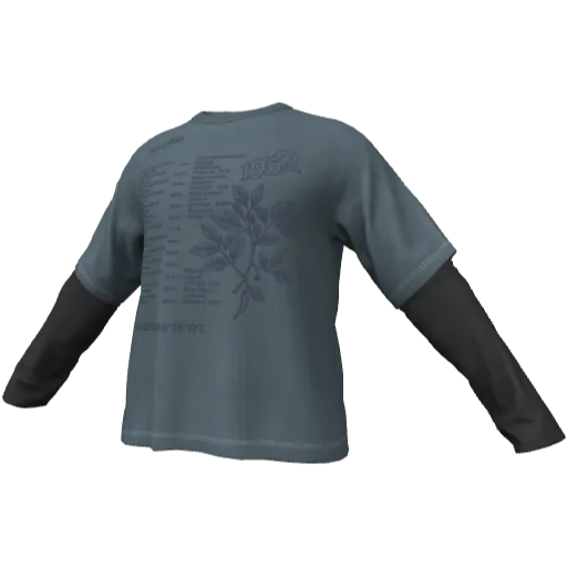 Clothing set #2545