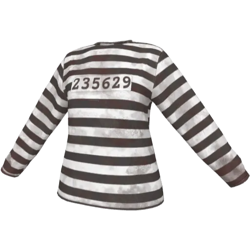 Clothing set #2475