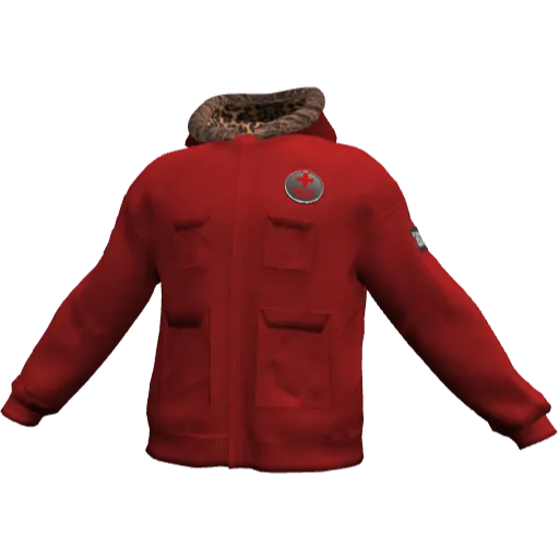 Clothing set #2482