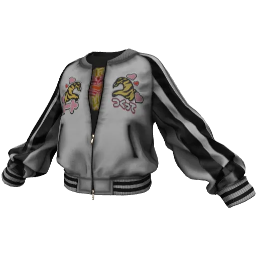 Clothing set #2541