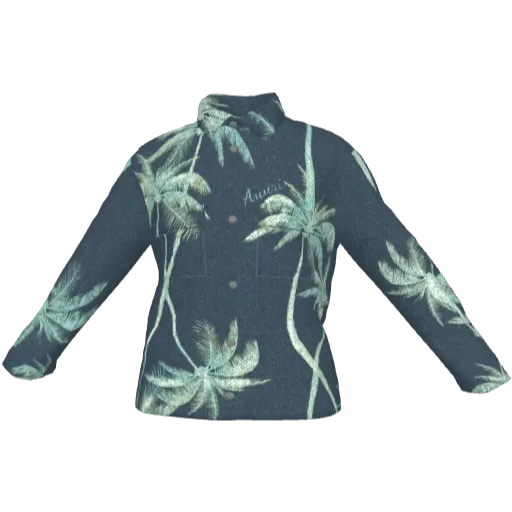 Clothing set #2448