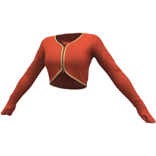 Clothing set #2519