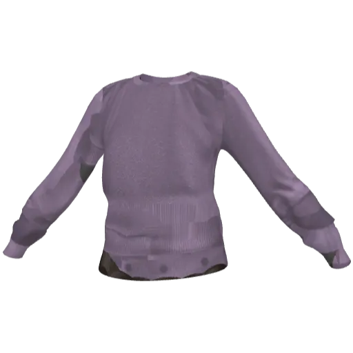 Clothing set #2493