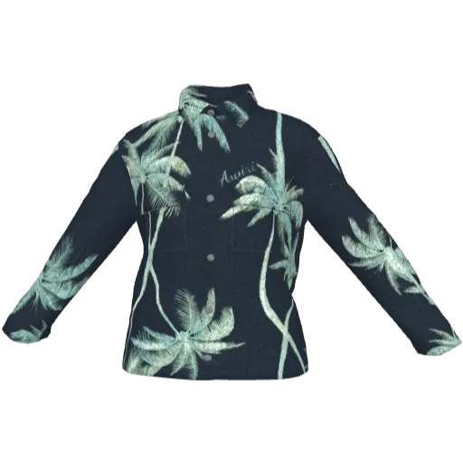 Clothing set #2448