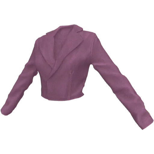 Komplet ubrań #2590