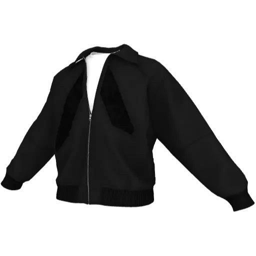 Clothing set #2533