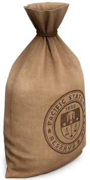 Eine Tasche voller Geld