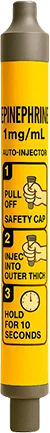 Epinefryna