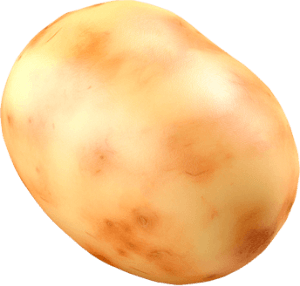 Картошка