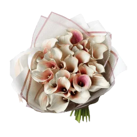 Blumenstrauß voller rot-weißer Calla