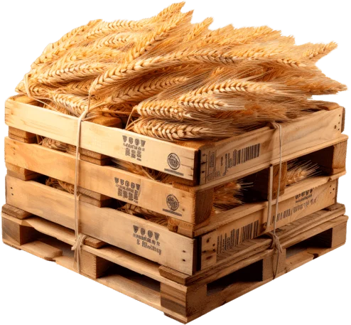 Ящик с пшеницей