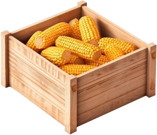 Ящик с кукурузой