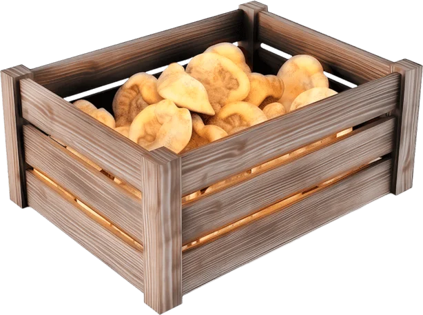 Ящик с шампиньонами