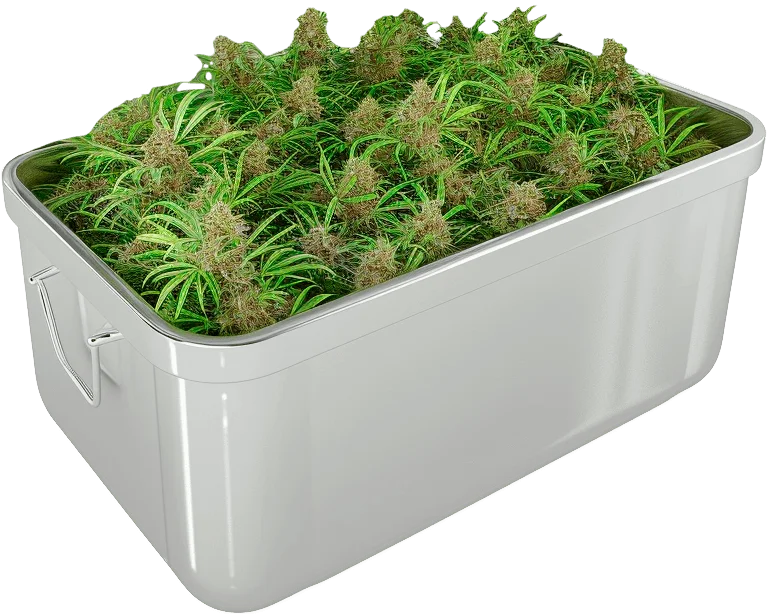 Контейнер с сорванными кустами