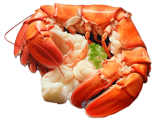 Mięso homara