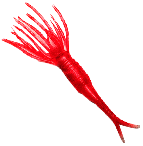 Two-tailed Twister