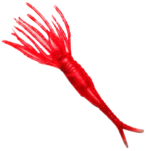 Twister z dwoma ogonami