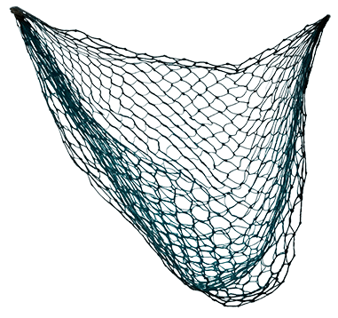 Fishing net