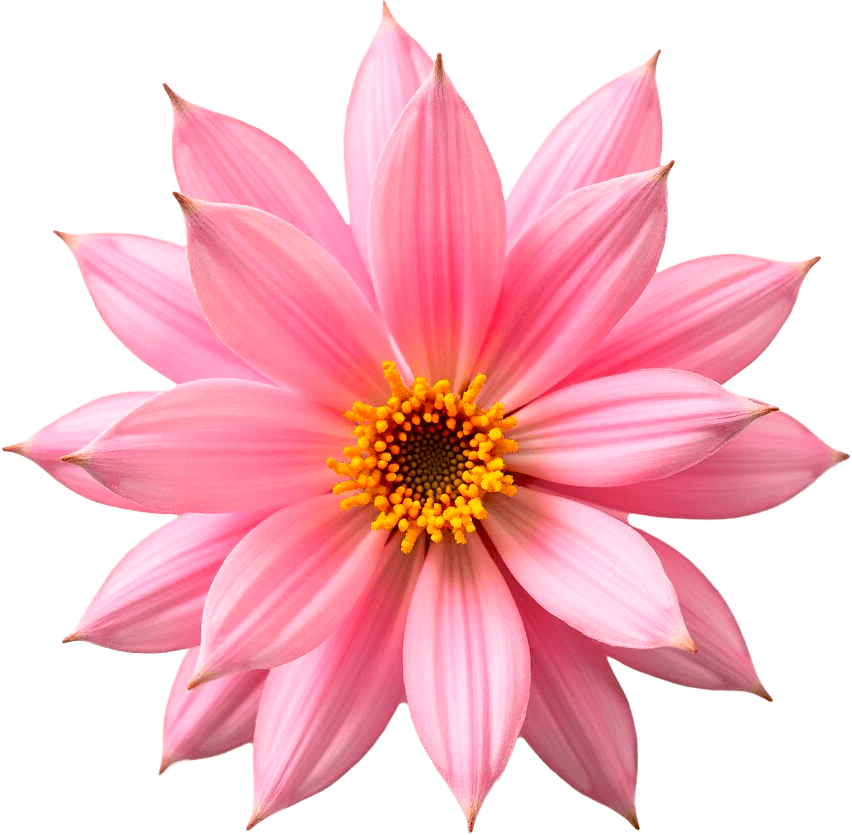 Spring flower